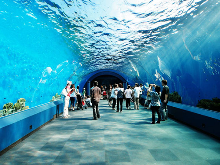 Vé tham quan Siam Ocean World Bangkok